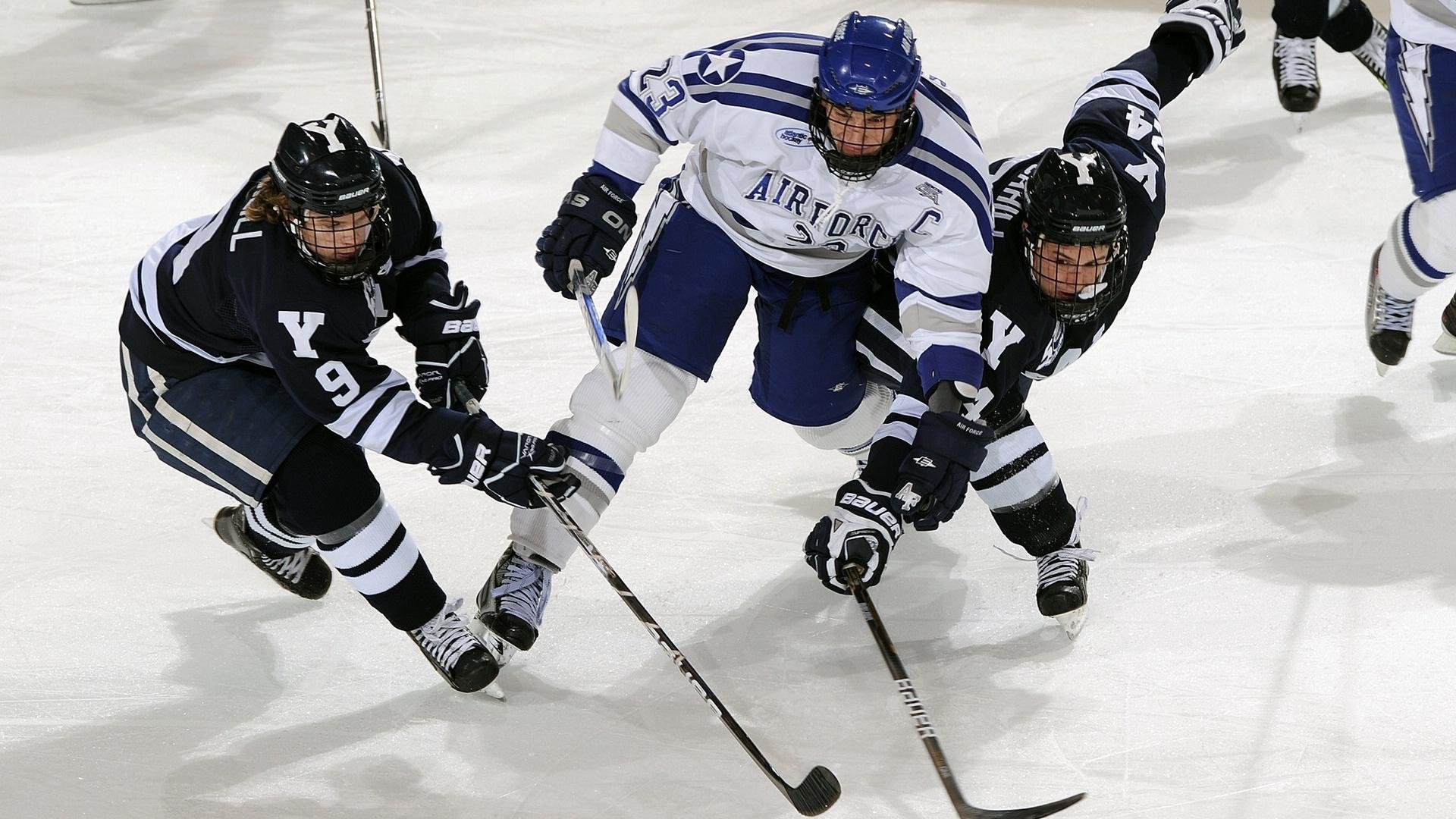 开云体育官网app-篮球公益训练营深入校园激发兴趣，篮球公益营销策划方案